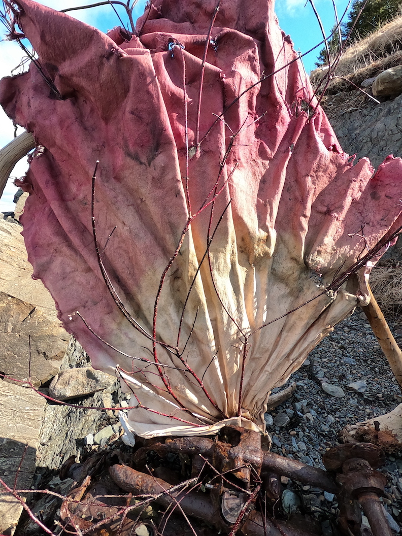 Next to a shale cliff, a sculpture sits atop an abandoned rusty engine. The sculpture has a flared shape with many folds, as it is made of cloth. It is red at the edges and gradually fades to beige at the bottom. It has branches protruding though torn holes in the cloth. The branches are red in colour.