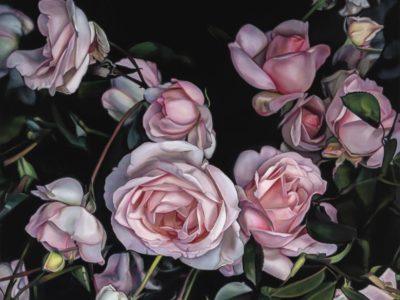 Tylor McNeil; Still Enough to Hear at 14 Bells Fine Art Gallery
