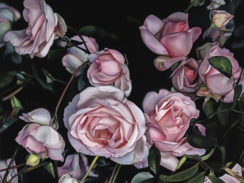 Tylor McNeil; Still Enough to Hear at 14 Bells Fine Art Gallery