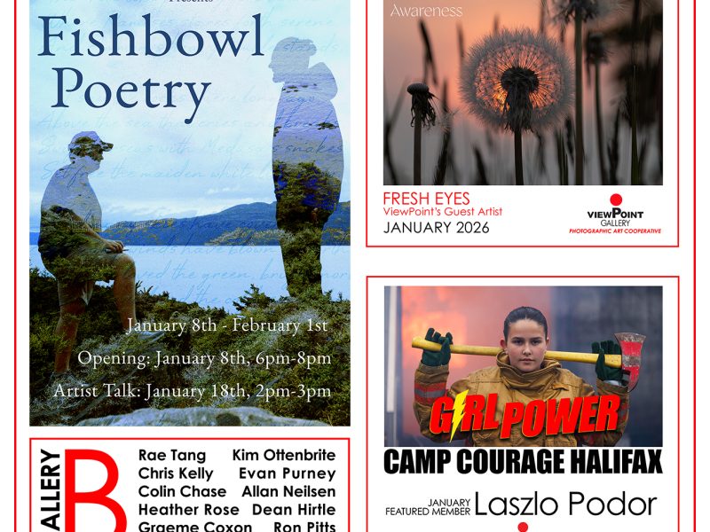 Opening this Thursday, January 8 at ViewPoint Gallery. 6-8pm. Free and open to all.