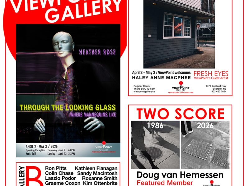 This month at ViewPoint Gallery. Open Thursday thru Sunday, noon to 5pm.