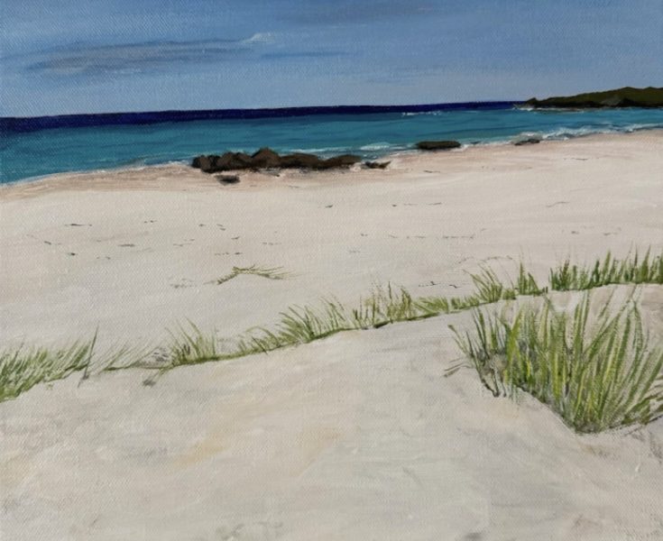 The way through, cavendish Dunelands trails, A warm Embrace, Peggy’s cove, Golden hour, Vitamin Sea, Rainfall Tapestry, Field of quiet, Blue beyond the sands, Awakening of Earth