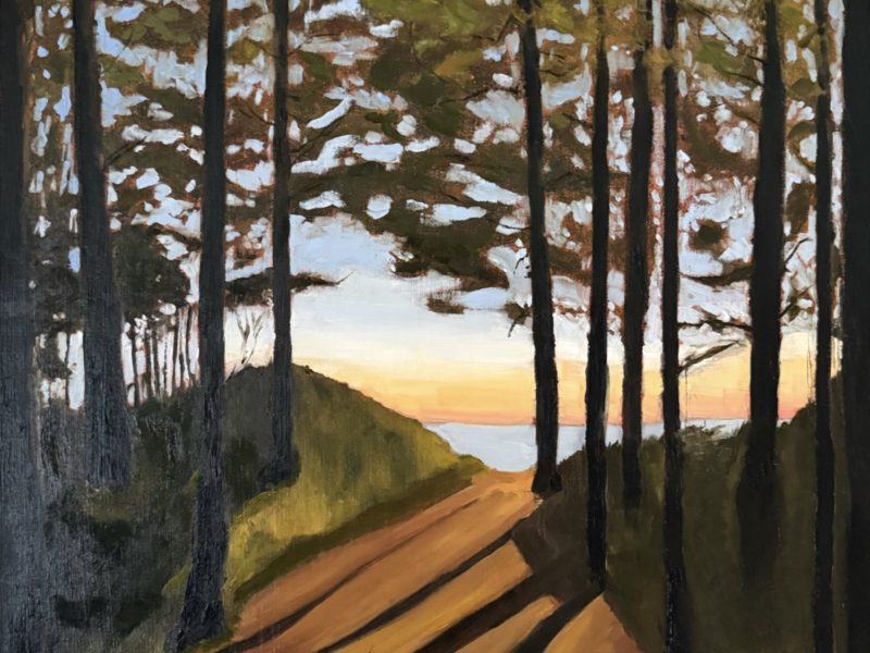 The way through, cavendish Dunelands trails, A warm Embrace, Peggy’s cove, Golden hour, Vitamin Sea, Rainfall Tapestry, Field of quiet, Blue beyond the sands, Awakening of Earth
