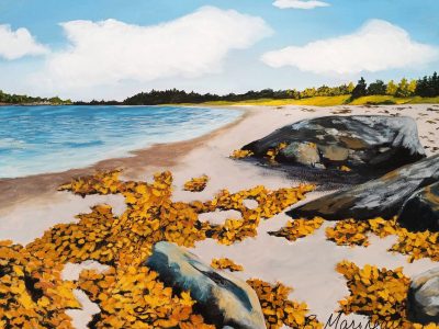 The Places I Know-Rhonda Marineau